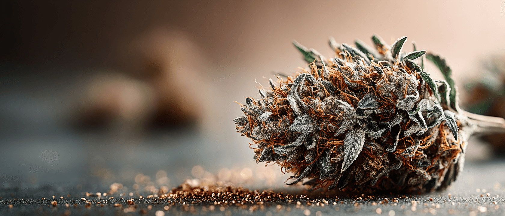 Premium Cannabis Experience