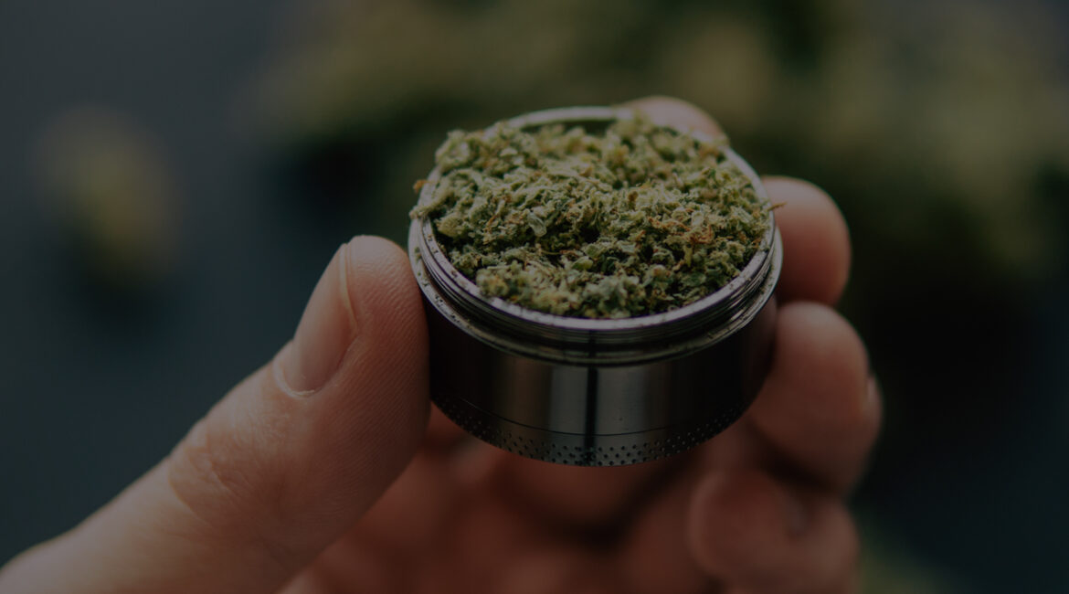 person holding weed in grinder