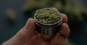 person holding weed in grinder