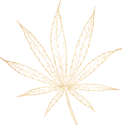 high ties gold cannabis leaf