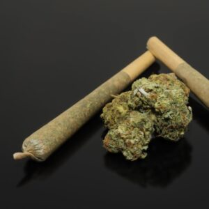 1080x1080 blitzimage1