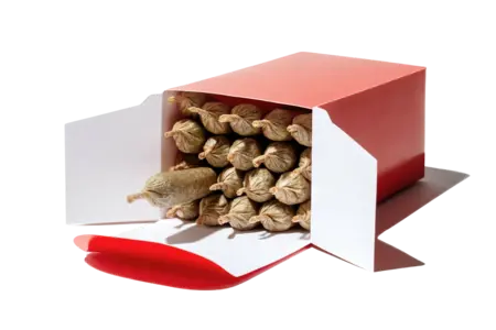 a box of cannabis spliffs